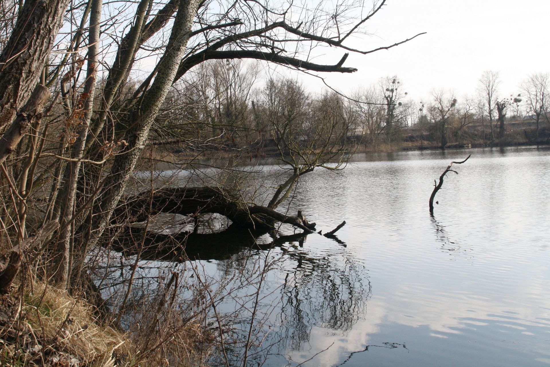 Aktuelles_Webserstube_Babelsberg_Potsdam_Aradosee_Fuehrung